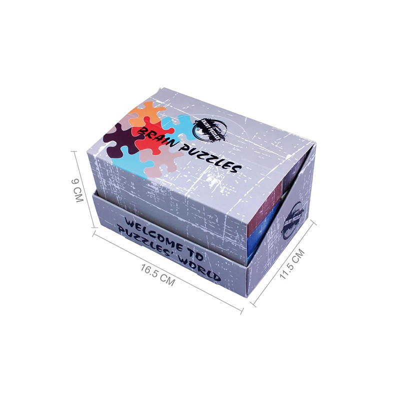 Puzzle de Riel Glide Cognitivo Metálico